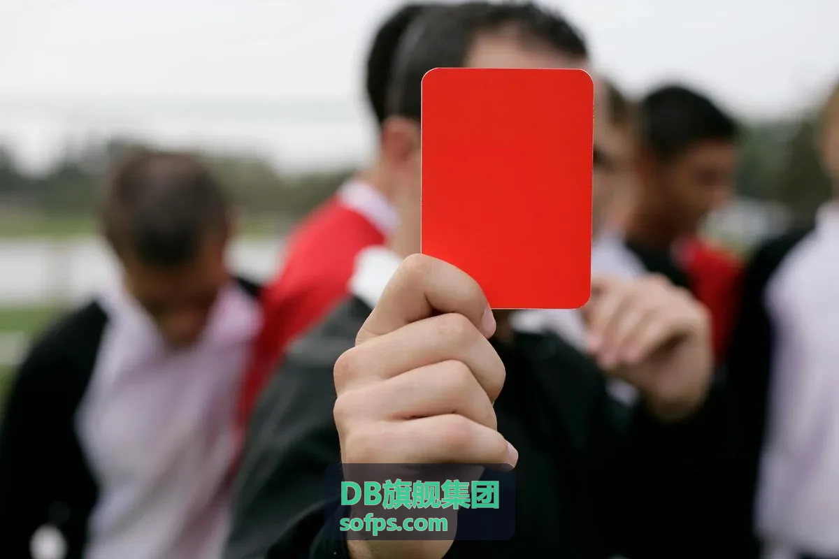 DB旗舰集团生态整合能力展示